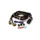 Lazer Lamps Two-Lamp Wiring Kit (Beacon, 12V) PN: 2L-LP-6C-350